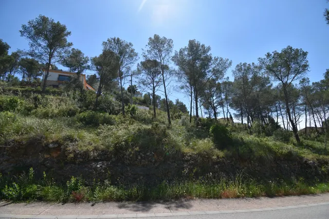 EXCELENTE TERRENO EN MAS MESTRE, OLIVELLA — 7