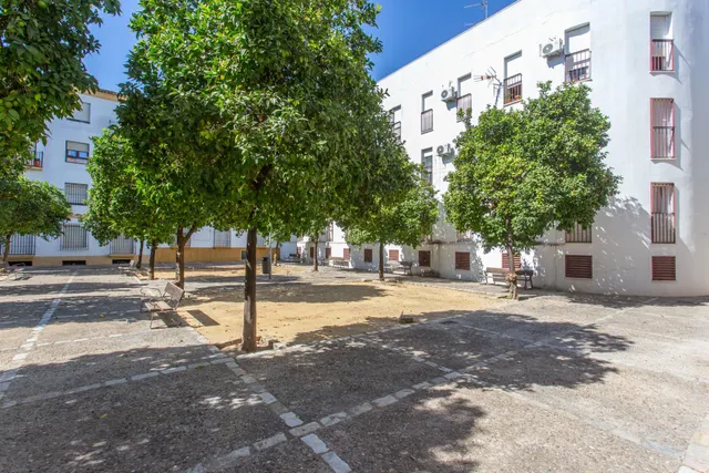 Se vende piso en planta baja en el centro (vpo) — 32