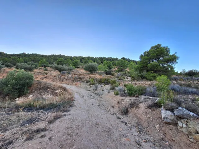 Finca rústica forestal en venta con vistas panoramicas · Castalla (Alicante) — 13