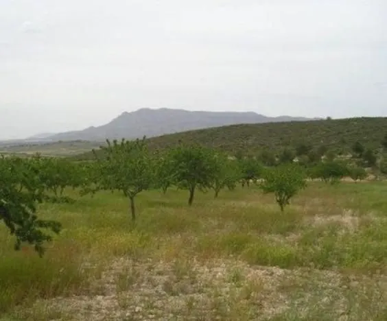 Parcela 171m² en venta - Abanilla — 8