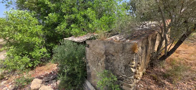 Finca rústica con encanto cerca de El Perelló – 23.000 m2 de naturaleza y tranquilidad — 8