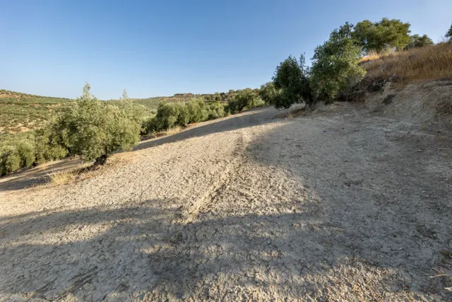 Terreno rural en venta - Alfacar — 9