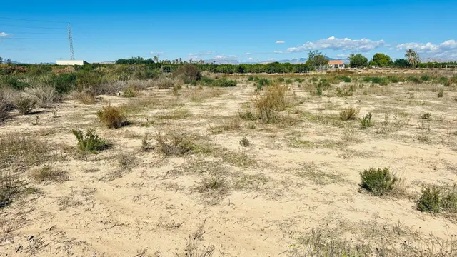 Terreno de 12.000 m2 en Perleta. — 25