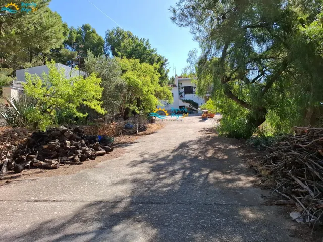 Finca con vivienda, naturaleza y vistas a la sierra y al mar - foto 4