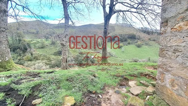 CABAÑA EN SOBA. VALDICION — 15