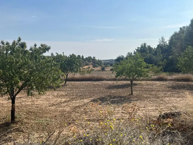Finca con pozo productivo y maset en Valjunquera — 9