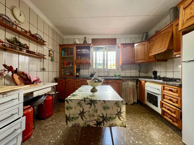 ¡¡finca con piscina, huerto, pozo y vivienda de 3 plantas !! — 38