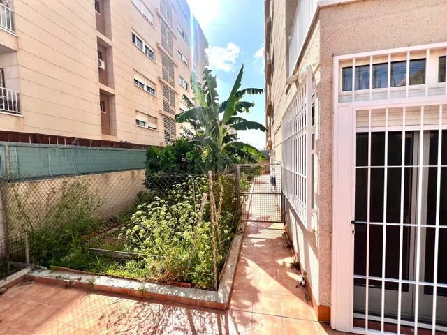 PLANTA BAJA EN NUEVA TORREVIEJA CON MAS DE 200M2 DE PARCELA - foto 3