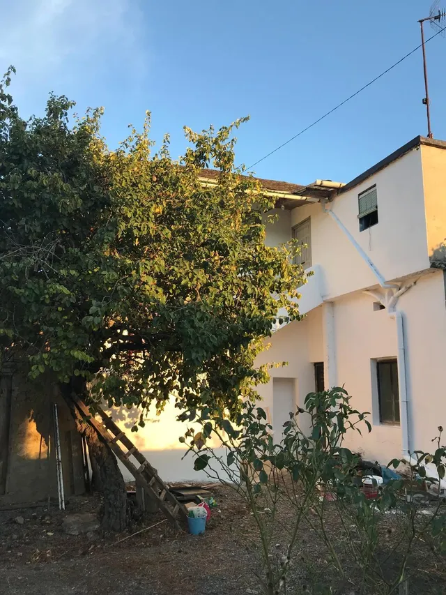 VENTA: Casa con Terreno Valtuille de Abajo — 22