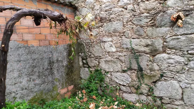 SE VENDE CASA DE PIEDRA PARA REFORMAR EN BUGALLIDO — 15
