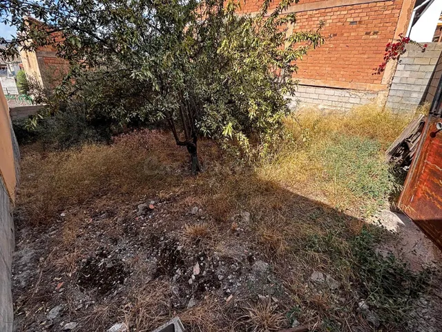 Estupendo solar en Padul - foto 4
