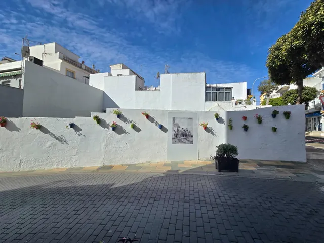 PARCELA URBANA ZONA CENTRO - foto 4