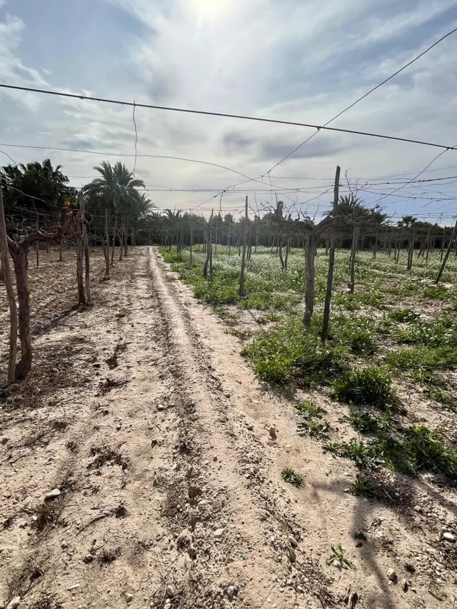 Terreno rural en zona residencial - foto 3