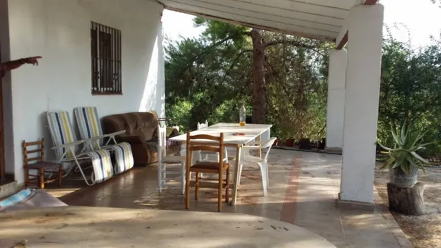 CAMPO DE NARANJOS CON CHALET — 9
