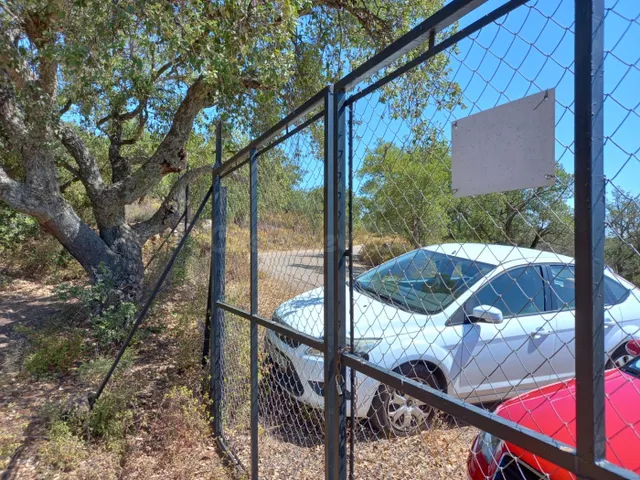 Finca de Olivos en la Montaña - foto 3