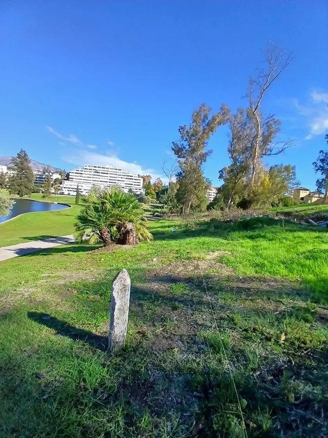 Terreno edificable con licencia en Guadalmina Marbella — 9