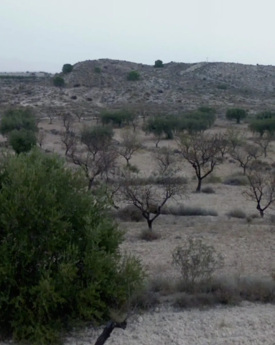 Amplia parcela de uso agrario en la Albarda, Fenazar Murcia.