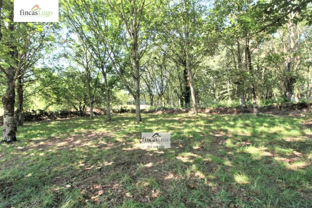 2 CASAS DE PIEDRA EN O CORGO - foto 4