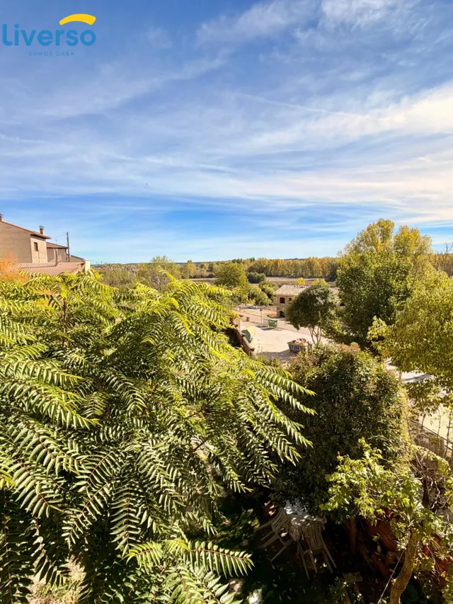 Casa de pueblo con parcela de 866 m2, jardín y buhardilla con encanto en la Ribera del Duero — 46