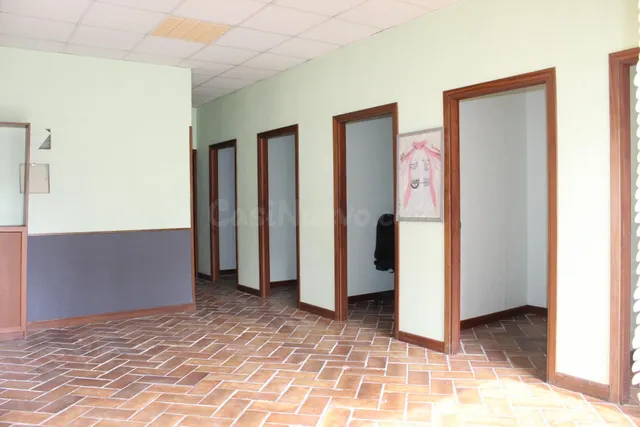 LOCAL COMERCIAL EN DUMBOA — 5
