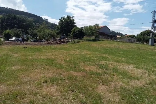 Finca rústica en venta - Arenal — 6