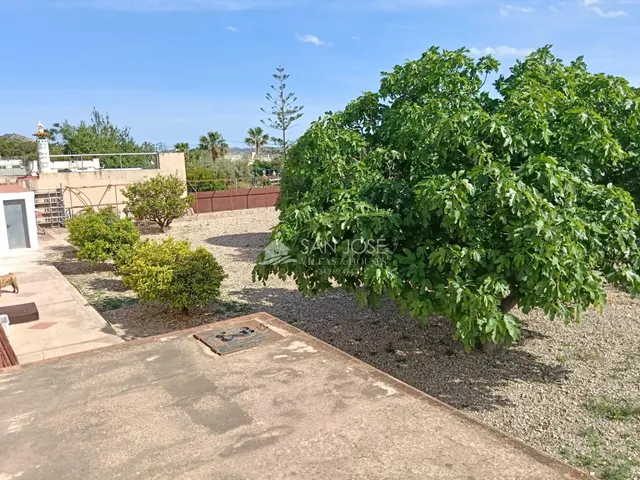 SE VENDE CHALET CON PISCINA EN BUEN ESTADO EN ASPE — 38