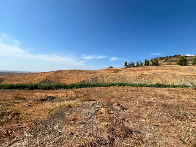 Venta de finca rústica en Carmona (Sevilla) — 8