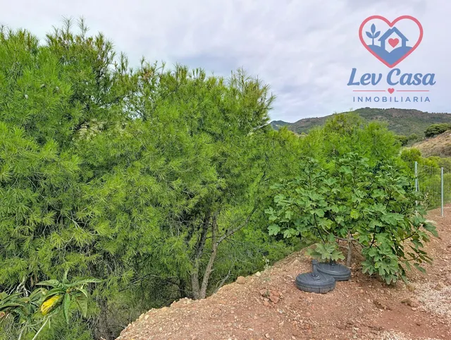 FINCA DE 10.400 M2 CON PISCINA EN SIERRA ESPUÑA — 120.000 € — 25