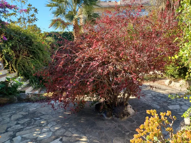 Casa única a la venta en la zona Pla de Sant Pere Les Salines Cubelles 1.170 m2 de parcela y POSIBIL — 48
