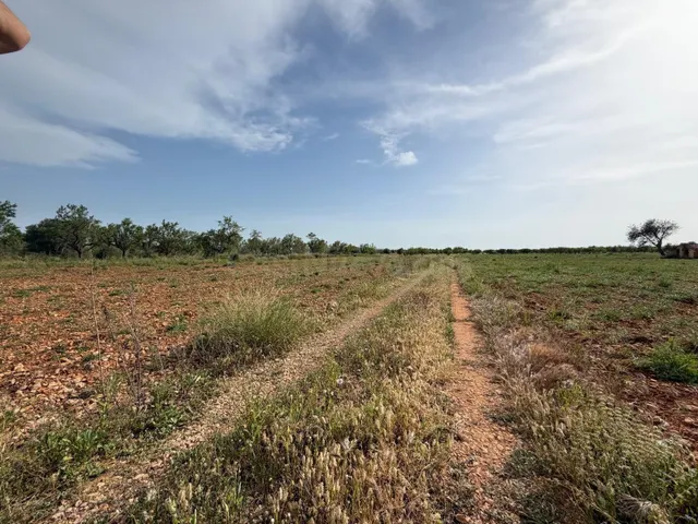 Terreno rural en venta - Comunidad valenciana - foto 3