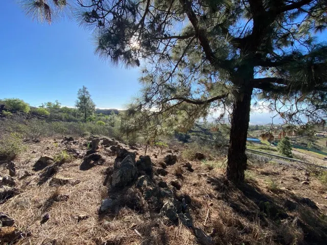Bonito terreno rústico de 2.930m2 en la Cruz de Tea, en Gran - foto 3