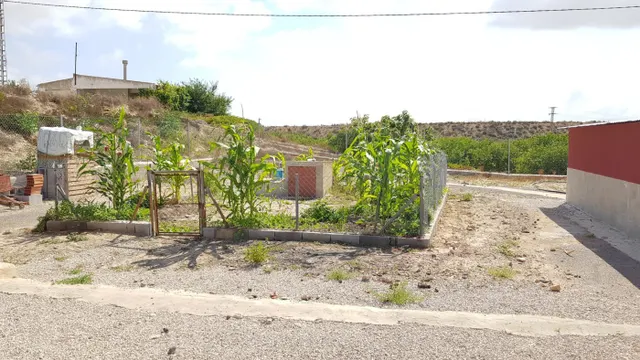 SE VENDE FINCA RÚSTICA DE 27.000 m Los Montesinos — 18