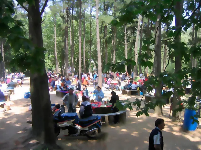 Finca rústica de 9 hectáreas en Arenys de Munt — 19