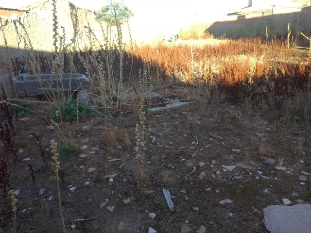 Urbis te ofrece una casa en venta en Salmoral. — 8
