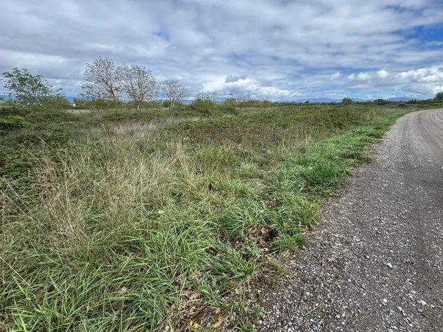 SE VENDE 8.800 M2 DE TERRENO RUSTICO EN CARRACEDELO - foto 2
