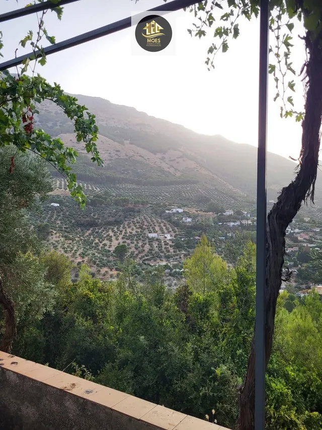 PARCELA EN LOS VILLARES - foto 4