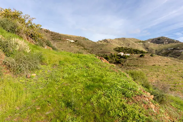 Finca en Ítrabo - Almuñecar — 10