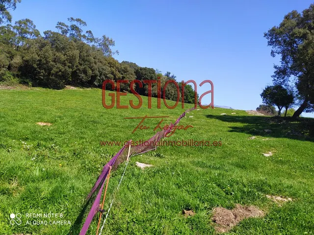 TERRENO RÚSTICO 17.933M2 EN CASTILLO SIETE VILLAS — 21