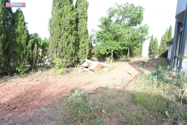 Finca Rústica en Alcázar de San Juan - Oportunidad Única por - foto 5