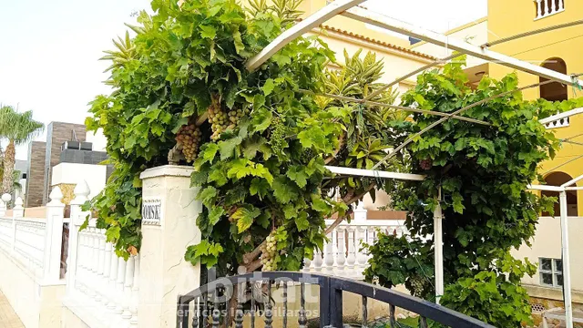 ORIHUELA COSTA-BAJO EN RESIDENCIAL CON GARAJE, PISCINA Y TERRAZA — 47