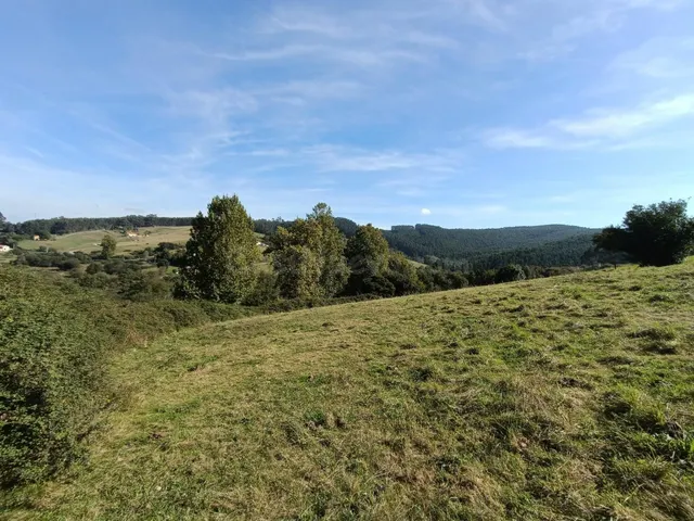 TERRENO URBANIZABLE EN POLANCO; UBICACIÓN Y TRANQUILIDAD PRI - foto 5