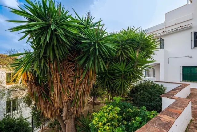 Apartamento 1 habitación 53m² en venta - Centro — 20