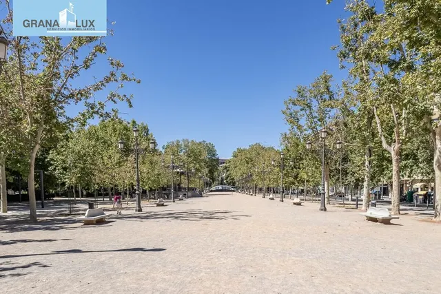 EXCLUSIVO INMUEBLE EN PLAZA DE CARRETAS, JUNTO AL EMBLEMÁTICO PASEO DEL SALÓN — 29