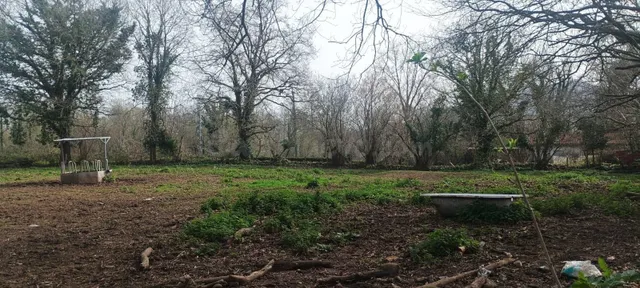 FINCA URBANA DE 3344m2 EN ONTORIA (CABEZON DE LA SAL) - foto 5