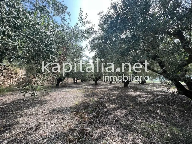 Espectacular terreno a la venta en Agullent — 5