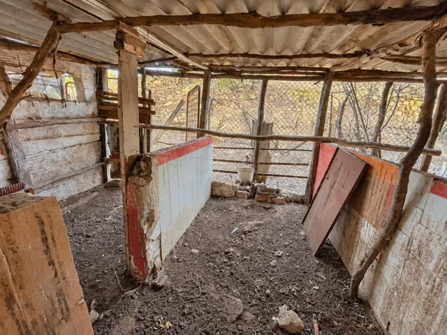 Finca rústica de 18.444 m2 con pozo y construcción catastrada en Alcalá de los Gazule — 8