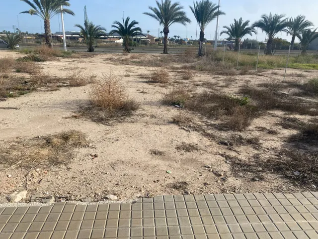 Exclusiva Parcela de 250 metros en La Torreta, Elche — 9