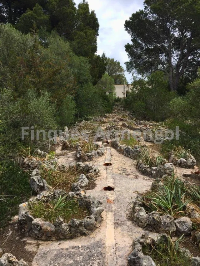 C-7048 GRAN FINCA EN CIUTADELLA — 18