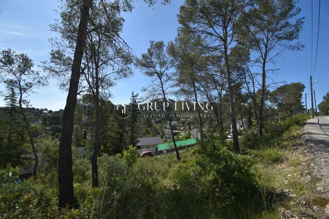 TERRENO EN MAS MESTRE, OLIVELLA — 6