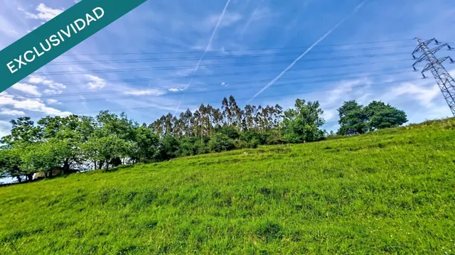 Más de una hectárea de Asturias, una cabaña de piedra y todo el valle por delante. — 13